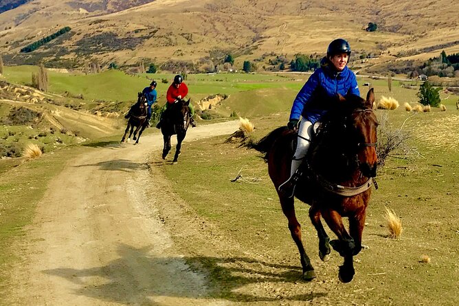 Cardrona High Country Pub Trail Horse Trek (Intermediate level+) - The Cardrona Hotel stop