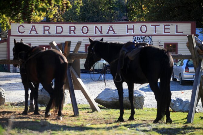 Cardrona High Country Pub Trail Horse Trek (Intermediate level+) - The return beside the river
