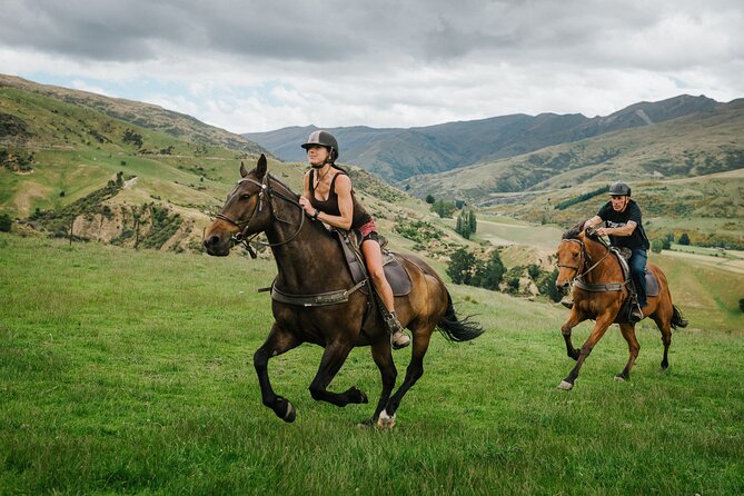 Cardrona High Country Pub Trail Horse Trek (Intermediate level+) - Guides who make the difference