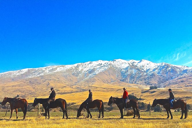 Cardrona High Country Pub Trail Horse Trek (Intermediate level+) - Starting at 12:30 pm in Cardrona Valley