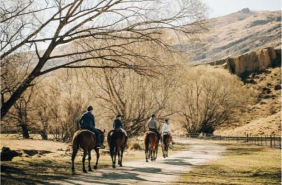 Cardrona Valley: Horse Trekking Experience - Meeting the horses at Cardrona
