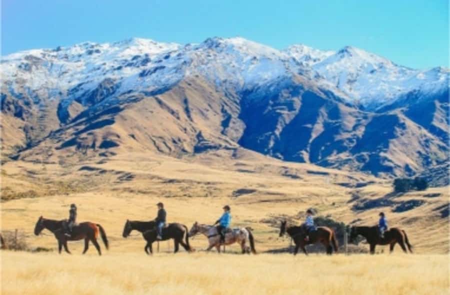 Cardrona Valley: Horse Trekking Experience - Choosing between the Gold Discovery and High Country trails