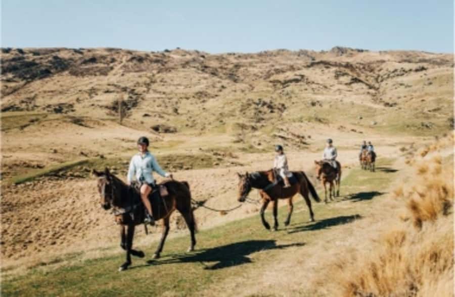 Cardrona Valley: Horse Trekking Experience - How the guides shape the experience