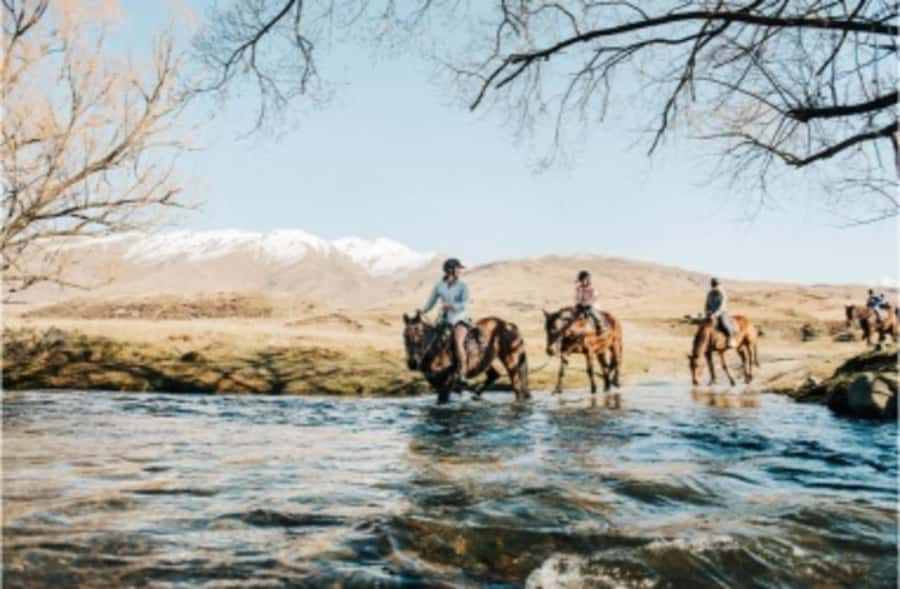 Cardrona Valley: Horse Trekking Experience - What the $298 price buys you