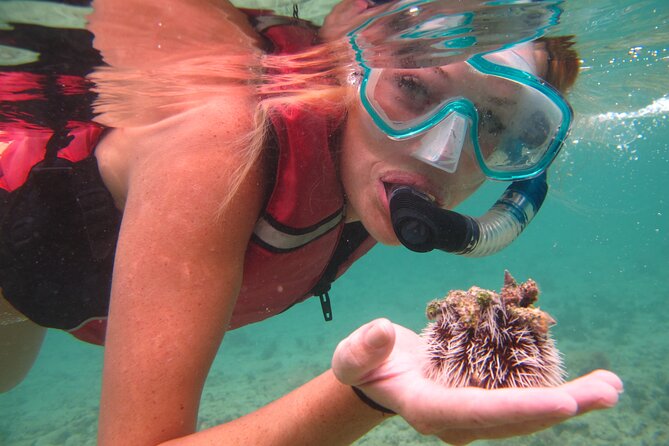 Cas Cay - Kayak Hike and Snorkel Adventure - Snorkeling in a mangrove nursery