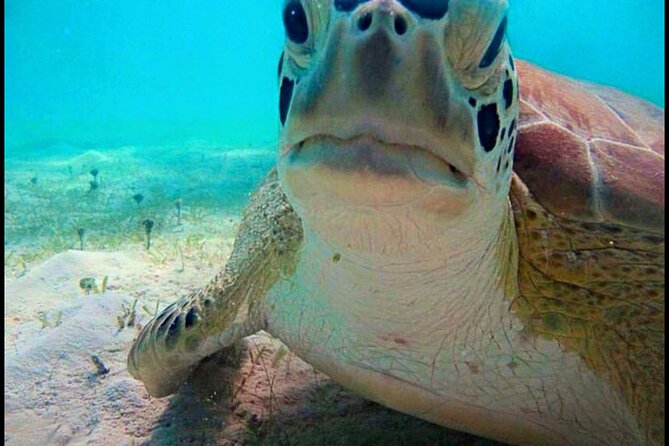 Cas Cay - Kayak Hike and Snorkel Adventure - Who should book this St. Thomas outing?