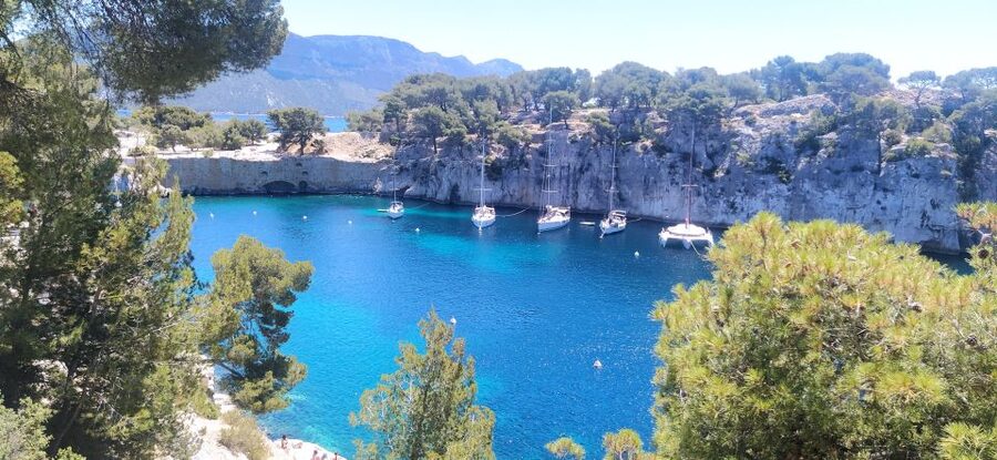 Cassis: 3 Calanques Half-Day Hiking Tour with Swimming - Port-Pin: the natural break and possible swim