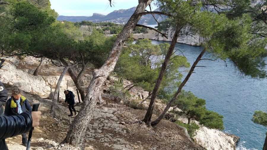 Cassis: 3 Calanques Half-Day Hiking Tour with Swimming - How good is the guiding?