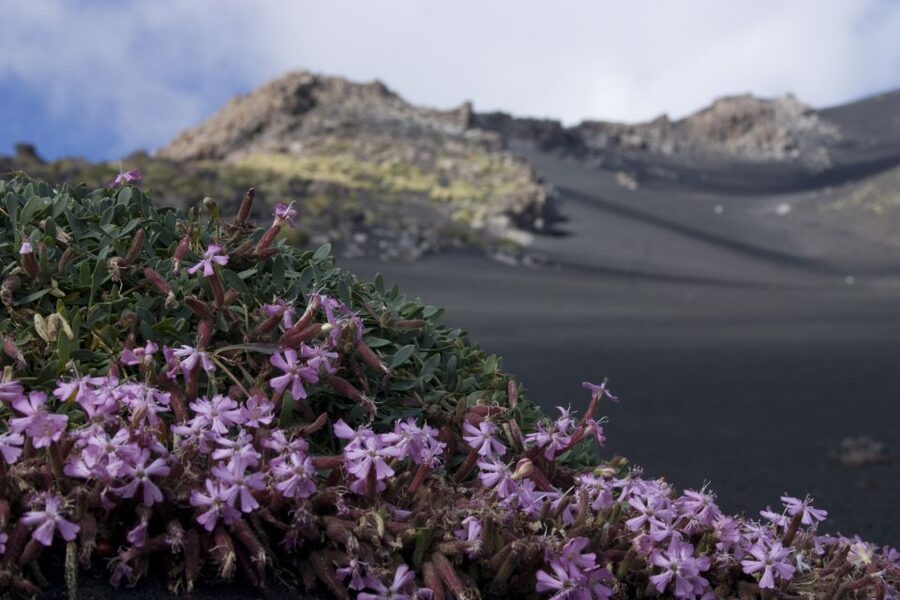 Catania: Etna Morning or Sunset Trek with Lava Tunnel & Gear - Practical packing advice for Etna