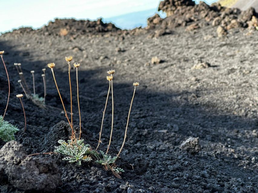 Catania: Etna Morning or Sunset Trek with Lava Tunnel & Gear - Walking among Etna’s secondary craters