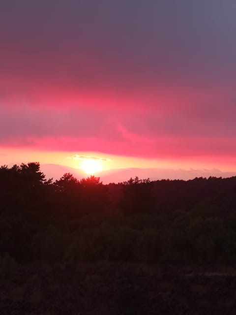 Catania: Mount Etna Sunset Trekking with Wine Tasting - Silvestri Craters and the newest volcanic ground