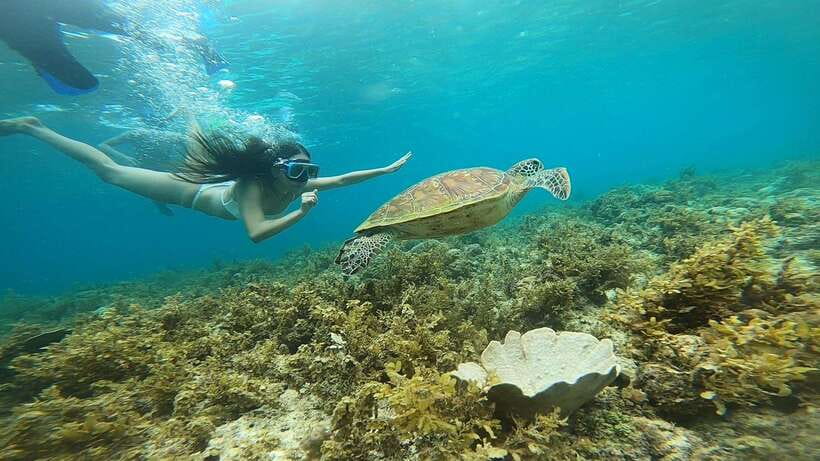 Cebu: Osmeña Peak hike and Sardines Run Snorkel adventure - Who will enjoy this Cebu combination?