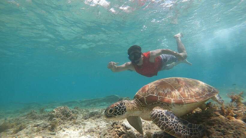 Cebu: Osmeña Peak hike and Sardines Run Snorkel adventure - What to bring for the mountain stop