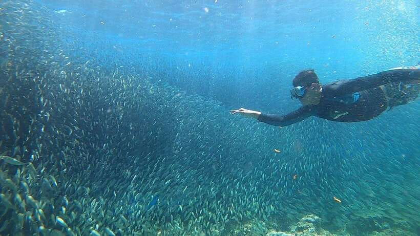 Cebu: Osmeña Peak hike and Sardines Run Snorkel adventure - Guides, photographs, and the human side of the day