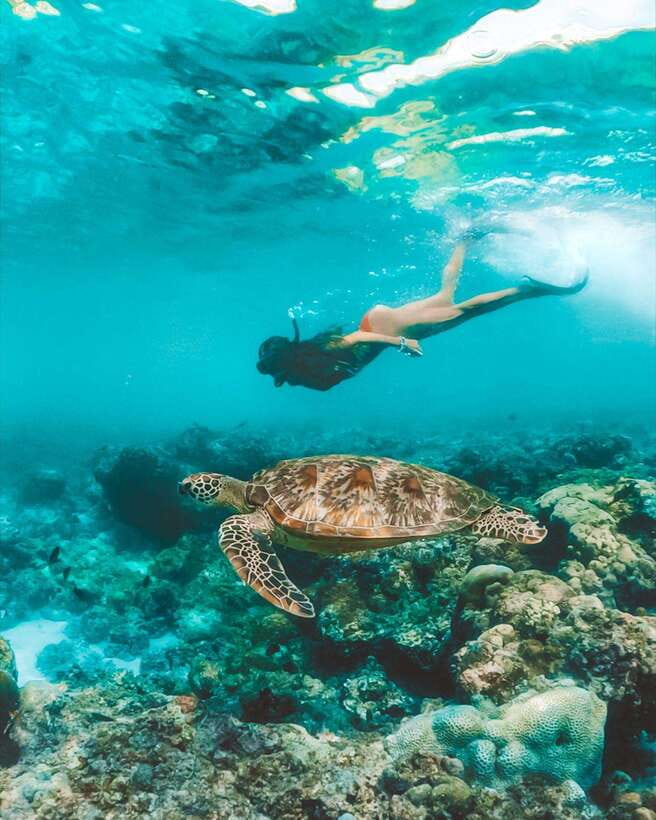 Cebu: Osmeña Peak hike and Sardines Run Snorkel adventure - The early pickup and long road day