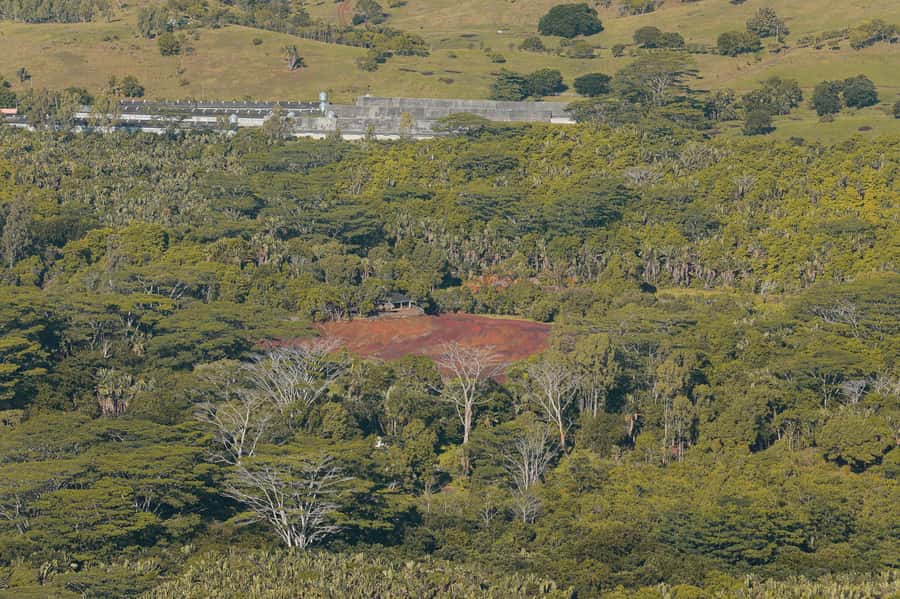 Chamarel: Sunset Mountain Hike - Key points to know before you go