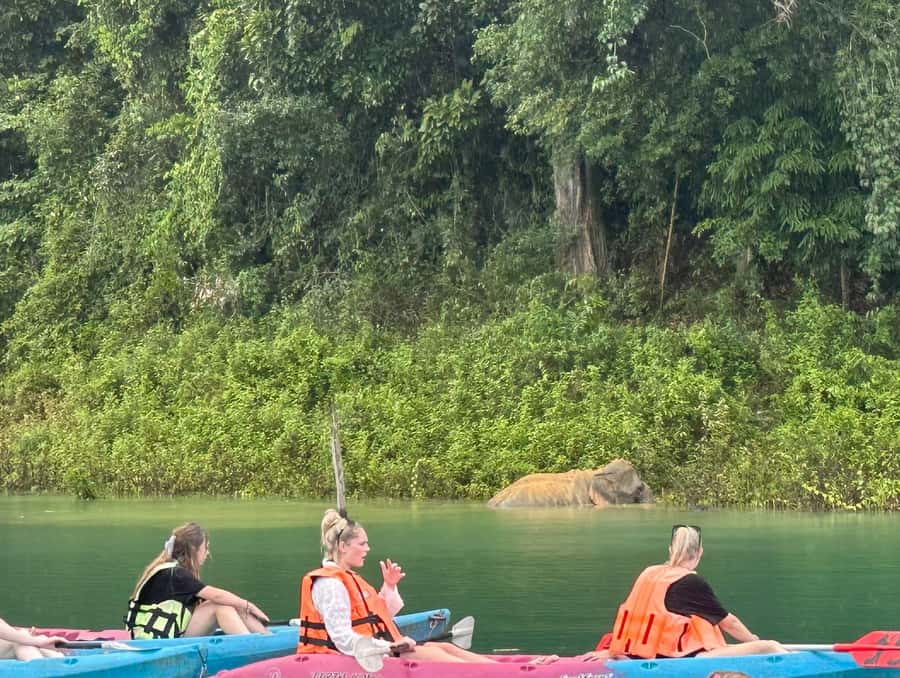 Cheow Larn Lake - Hiking - Cave Explore - Wildlife Safari - Coral Cave by bamboo raft