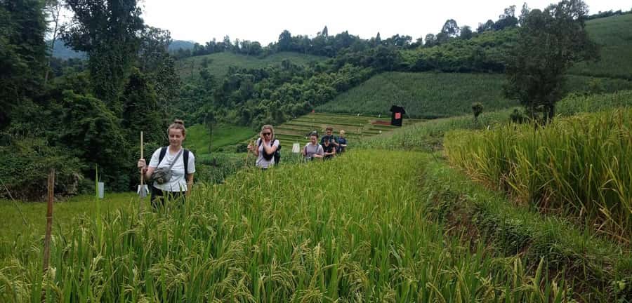 Chiang Mai: 2-Day Jungle Trek with Elephant Farm & Raft Ride - Six details worth knowing before you book