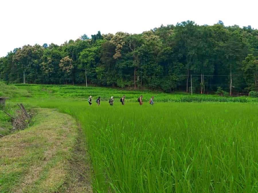 Chiang Mai: 2-Day Jungle Trek with Elephant Farm & Raft Ride - Walking uphill to the Karen village