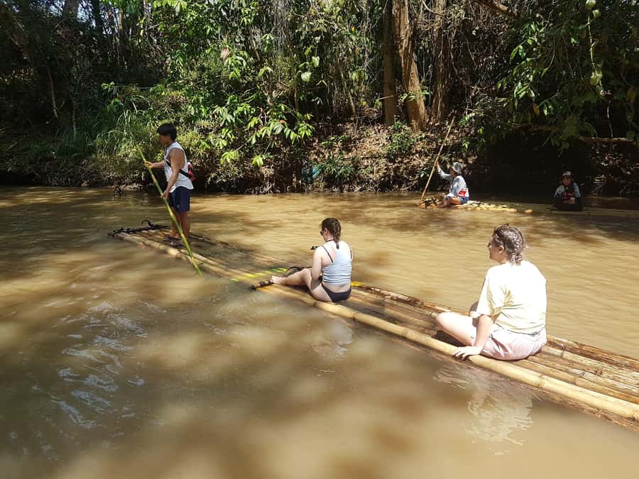 Chiang Mai: 2-Day Jungle Trek with Elephant Farm & Raft Ride - Is $97 good value?