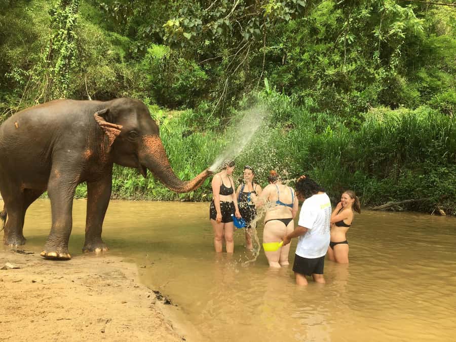 Chiang Mai: 2-Day Jungle Trek with Elephant Farm & Raft Ride - Forty minutes on the Mae Wang River