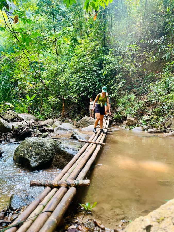 Chiang Mai 2-Day: Trekking, Tubing & Elephant Observation - A gentle second morning