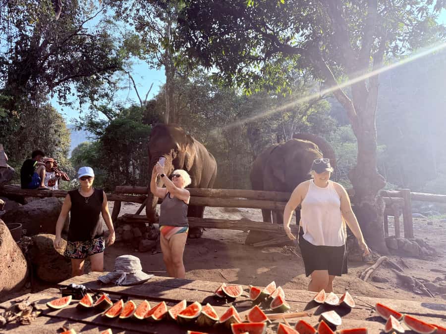 Chiang Mai 2-Day: Trekking, Tubing & Elephant Observation - What the $102 price really includes