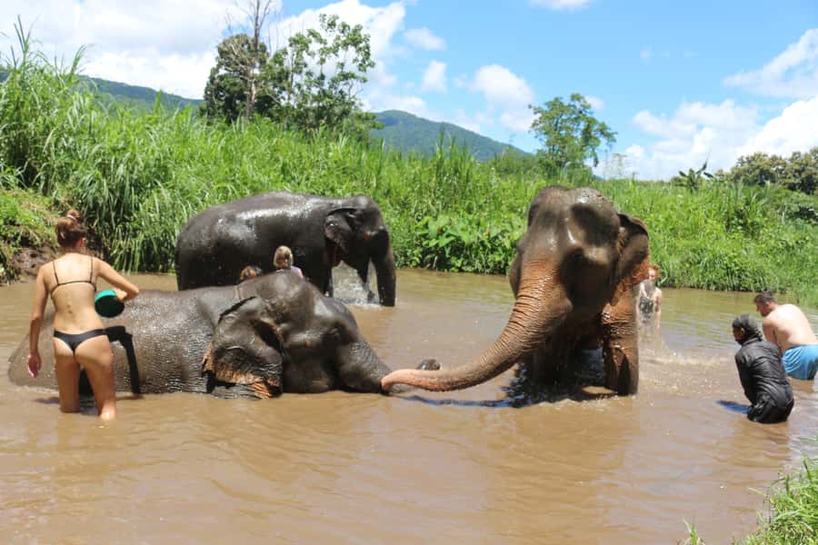 Chiang Mai: 2 Days, 1 Night Non-Tourist Trek - Day two: breakfast, a shorter trek, and a waterfall