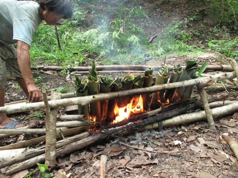 Chiang Mai: 2 Days, 1 Night Non-Tourist Trek - The early pickup and rough road into the hills