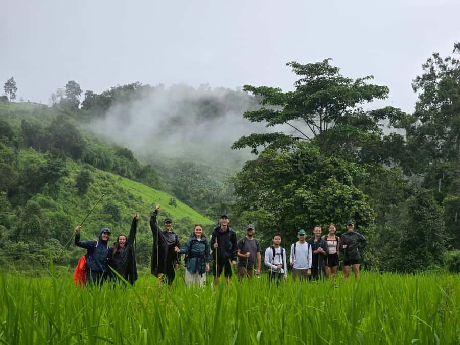 Chiang Mai: 2-Days Jungle Trek, Waterfalls and Karen Village - A second morning in the Mae Wang jungle