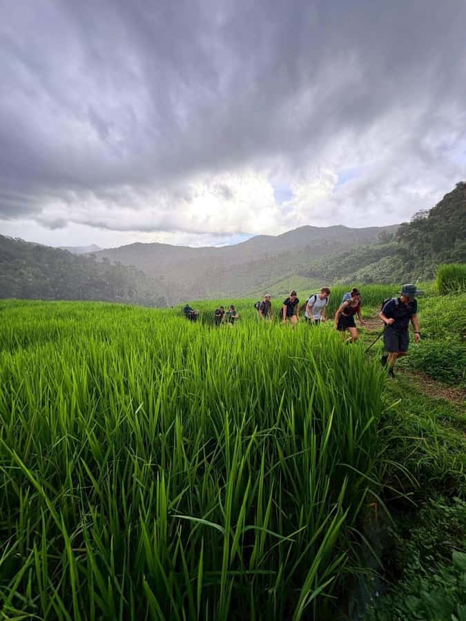 Chiang Mai: 2-Days Jungle Trek, Waterfalls and Karen Village - What the $96 price really covers