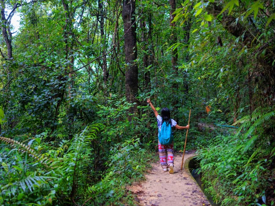 Chiang Mai: 3-Day Karen Hill Tribe Immersion with Trekking - Key points to know before booking