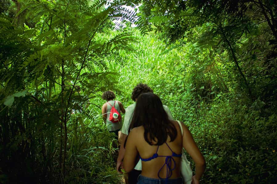 Chiang Mai: 3-Day Karen Hill Tribe Immersion with Trekking - Why this Karen trek feels different