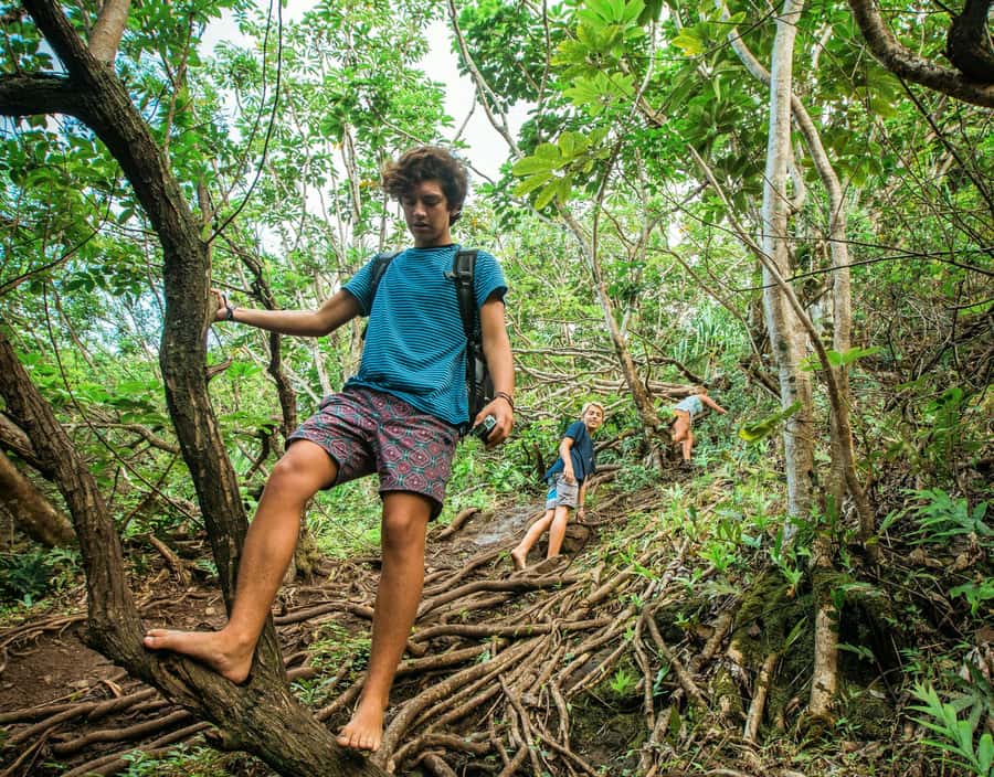 Chiang Mai: 3-Day Karen Hill Tribe Immersion with Trekking - Day 2: Gibbons, village life, and a second overnight stay