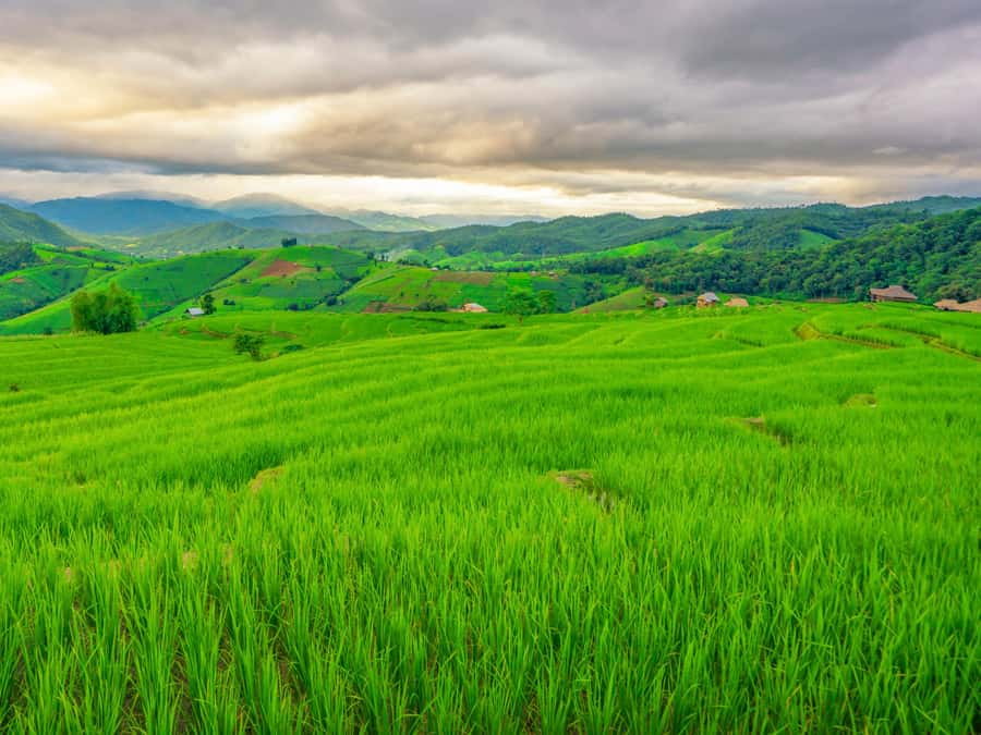 Chiang Mai: 3-Day Karen Hill Tribe Immersion with Trekking - Day 3: Five waterfalls and a quiet meal by the water
