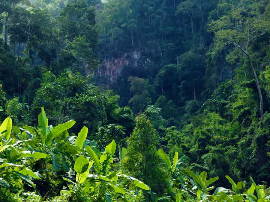 Chiang Mai: 3-Day Karen Hill Tribe Immersion with Trekking - What the food adds to the experience