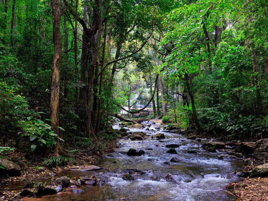 Chiang Mai: 3-Day Karen Hill Tribe Immersion with Trekking - Guides, group size, and safety