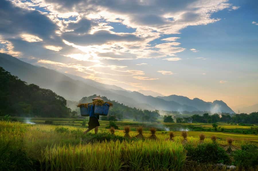 Chiang Mai: 3-Day Karen Hill Tribe Immersion with Trekking - Day 1: Market breakfast, forest paths, and a waterfall camp