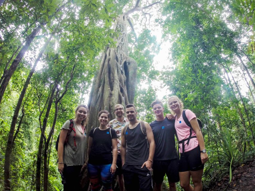 Chiang Mai: 7-Hour Doi Suthep National Park Summit Hiking - Key points at a glance