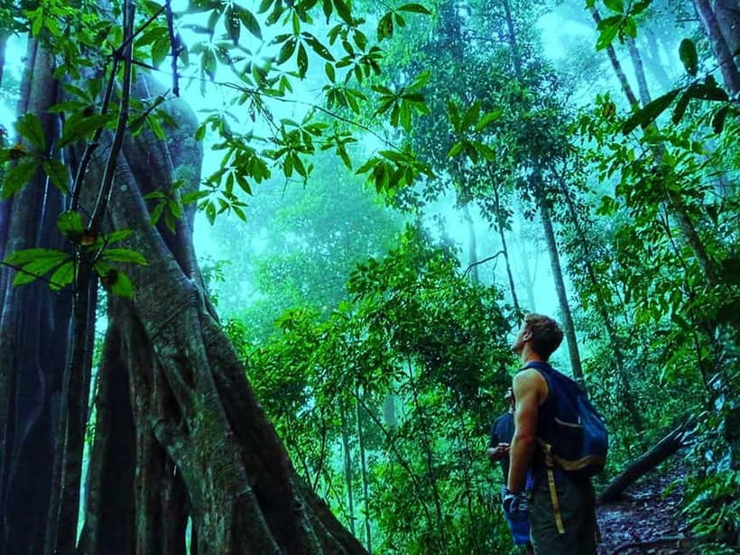 Chiang Mai: 7-Hour Doi Suthep National Park Summit Hiking - Who should book this Doi Suthep hike?