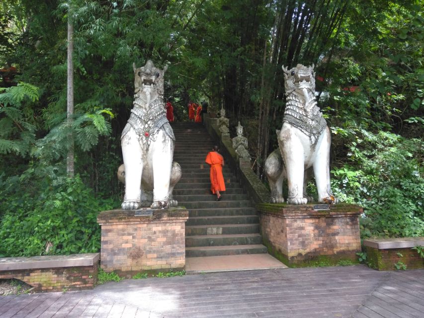 Chiang Mai: 7-Hour Doi Suthep National Park Summit Hiking - Wat Pha Lat and the old Monk’s Trail