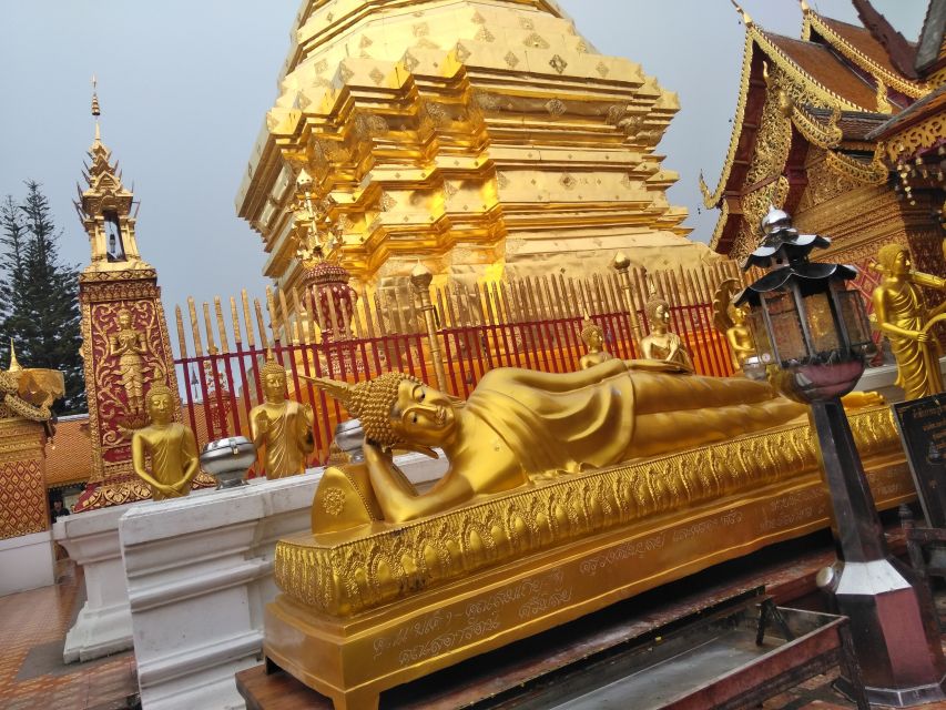 Chiang Mai: 7-Hour Doi Suthep National Park Summit Hiking - The hard section through Doi Suthep-Pui National Park