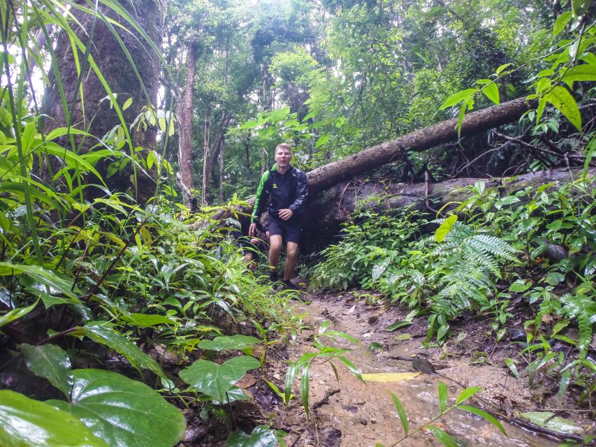 Chiang Mai: 7-Hour Doi Suthep National Park Summit Hiking - The return by truck and the second temple stop