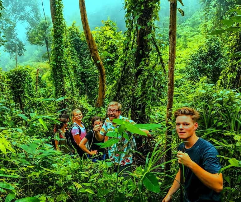 Chiang Mai: 7-Hour Doi Suthep National Park Summit Hiking - Fitness, footwear, weather, and what to pack