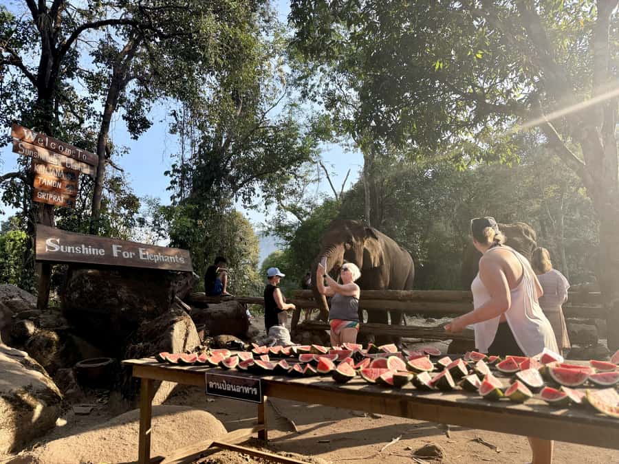 Chiang Mai Adventure: Trekking, Tubing & Waterfall Slide - Booking choices and timing