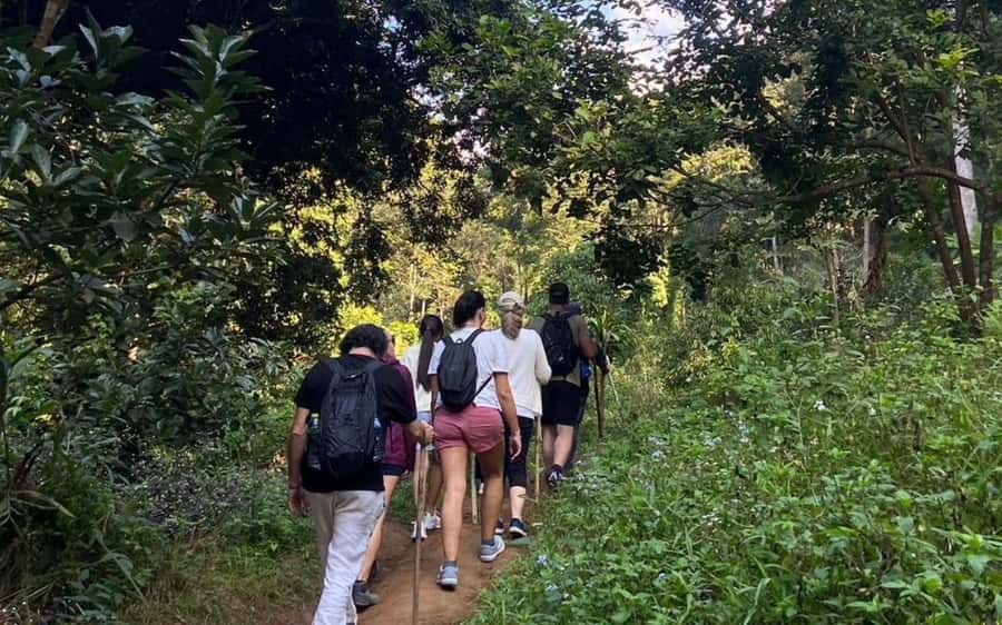 Chiang Mai: ATV Adventure, Jungle Hike & White Water Rafting - Guides, safety, and the feel of the day