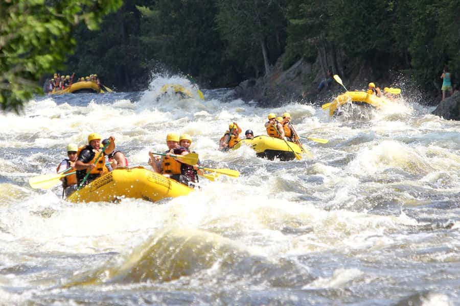 Chiang Mai ATV & White Water Rafting & Trekking to Waterfall - The two-hour trek to the waterfall