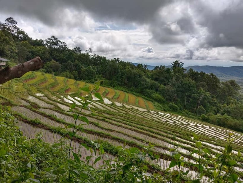 Chiang Mai Authentic Trekking - Four to Five Hours on a Proper Mountain Trail