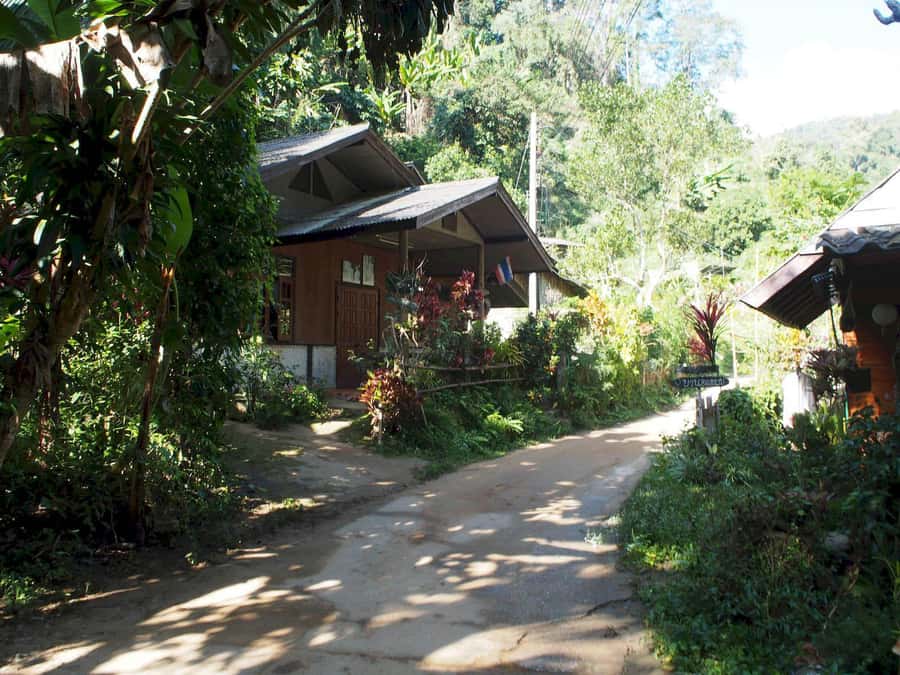 Chiang Mai: Chiang Dao Caves and Jungle Trek with Lunch - Why This Chiang Dao Day Trip Is Different