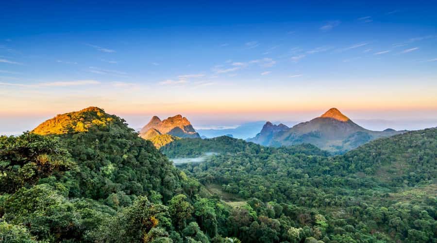 Chiang Mai: Chiang Dao Caves and Jungle Trek with Lunch - What the Trail Feels Like in Practice